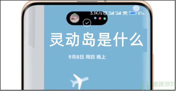 灵动岛是什么