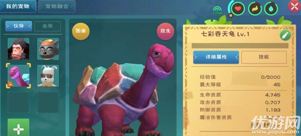 创造与魔法彩壳龟怎么获得 七彩吞天龟宠物捕捉方法