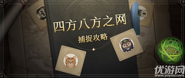 原神四方八方网络使用方法
