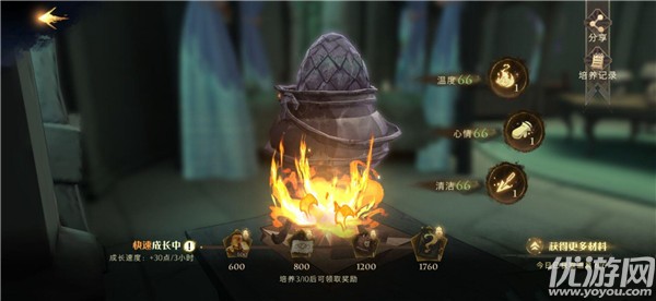 如何煮哈利波特魔法觉醒龙蛋