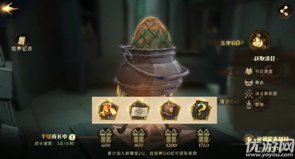 如何在哈利波特魔法觉醒宿舍养龙蛋