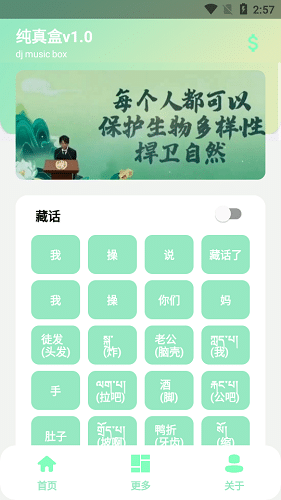 纯盒小程序的特点